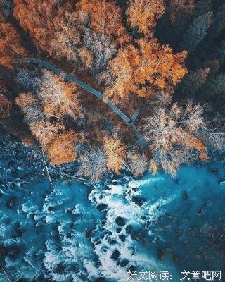 所谓青春的句子