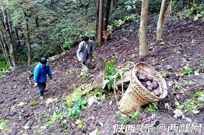 终于，我脱贫了！