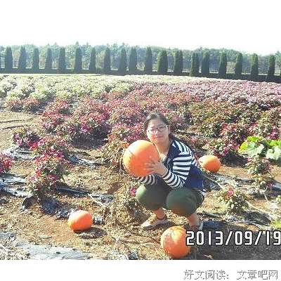愿得一心人 白首不分离
