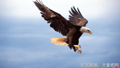 《1》的句子