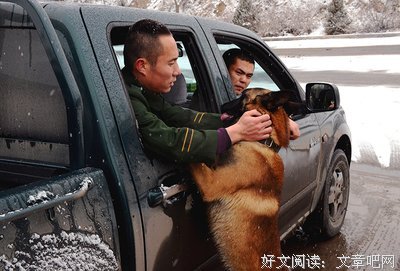 再见已是无言优美的句子