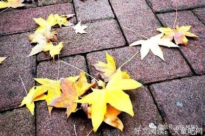 狂妄自大的家伙句子大全