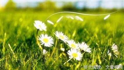 心便那人一们风了句子