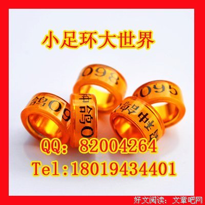 向内金里动句子大全