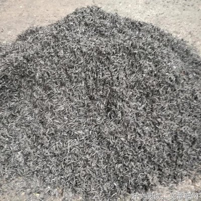 《烟草》观后感精选