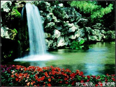 关于喜欢与爱的句子