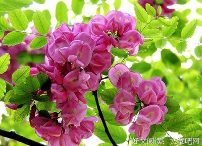 名词佳句的句子