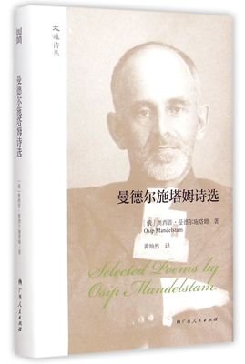 曼德尔施塔姆诗选读后感精选