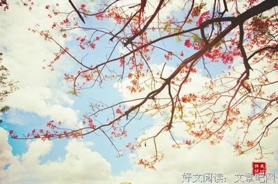忙了一辈子，什么才是你的？