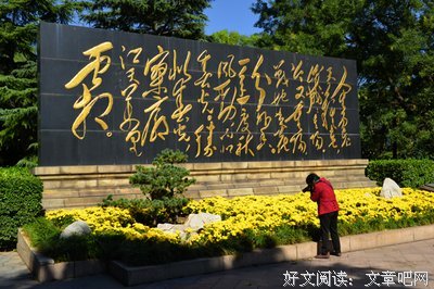 关于毛泽说觉的句子