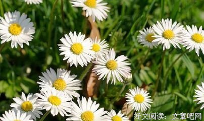BLACK CAT柒陌.经典的句子