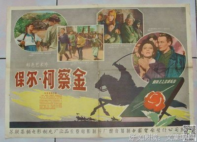 我只是对人生过敏经典读后感有感