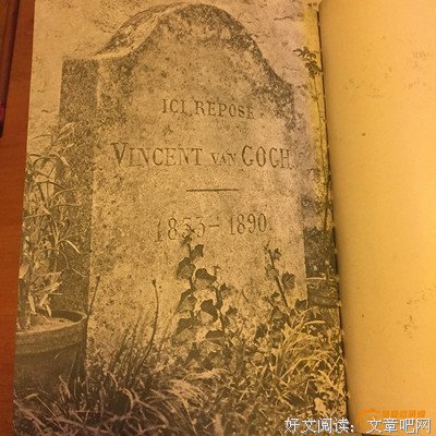 《凡·高的树》经典读后感有感