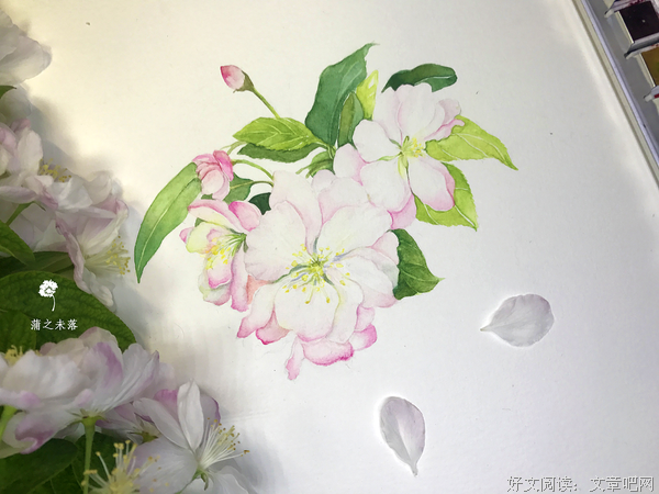 《水彩基础》读后感锦集