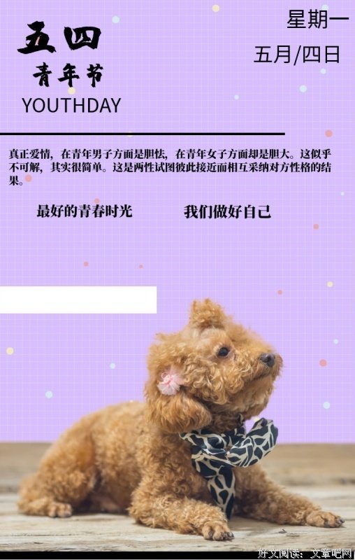 两性关系 | 伴侣间，到底该不该看对方的手机？