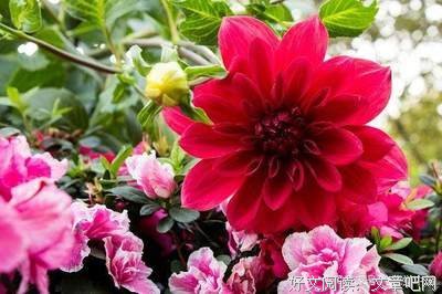 关于画地为牢的名句摘抄