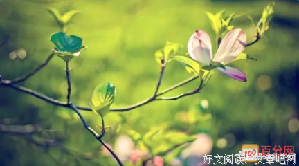 朝气蓬勃的名句_关于朝气蓬勃的名句