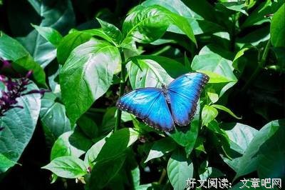 有关惴惴不安的美文美句摘抄
