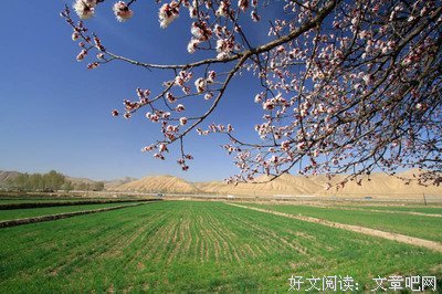 关于其乐融融的唯美语录
