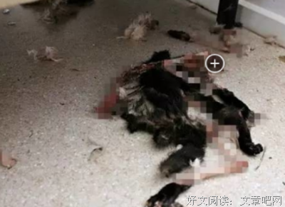 自相残杀的句子