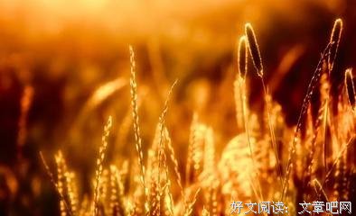 关于人生的句子