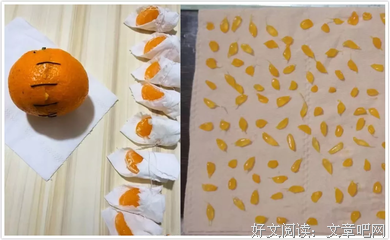 《危情想他》的句子