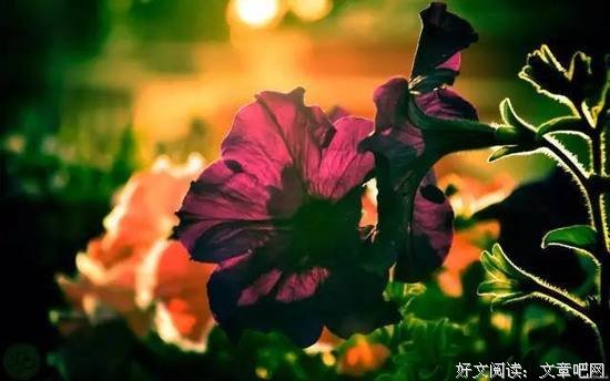“道德绑架”从哪来,何时休