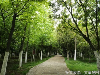 没头没脑的名人名言
