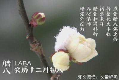 风雪夜归人句子大全