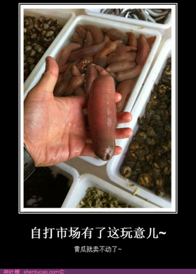 東京喰種トーキョーグール经典名句