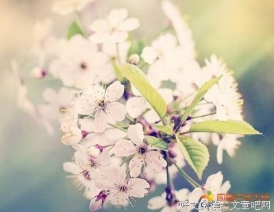 雨果经典的句子