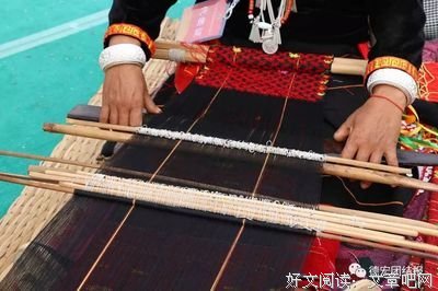 《燕子往北飞》观后感100字