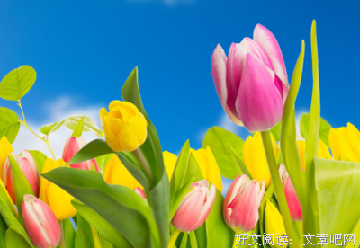 属于你的，永远都在