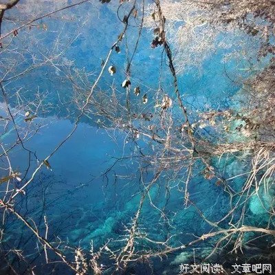 修带种上人生经典名句