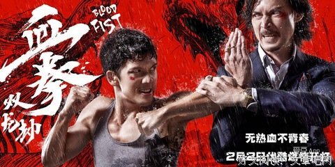 《血拳之双龙劫》观后感精选