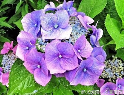 食文化优美的句子
