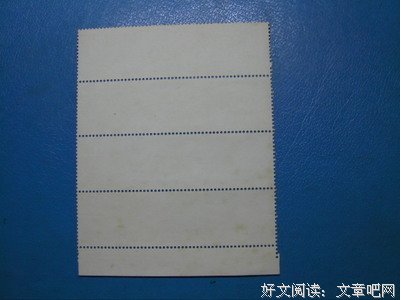15条关于其貌不扬的经典语句