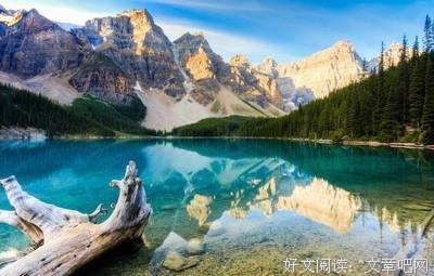 有关别出心裁的美文美句摘抄