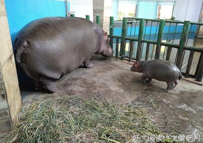 关于推心置腹的名言