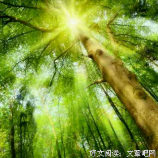 那个受伤的内在小孩，原谅了父母 || 渡过