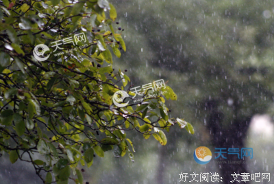关于雨的句子