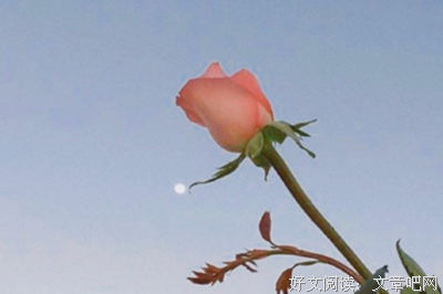 长太息句子大全