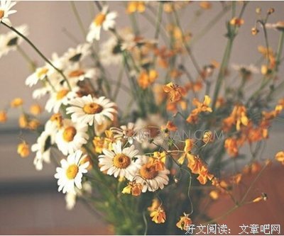 精.爱优美的句子