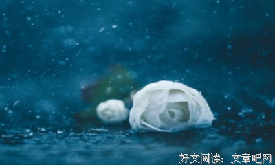 《绝望，伤心》的句子
