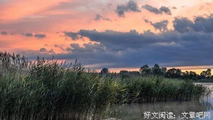 做人，最大的愚蠢就是较真！