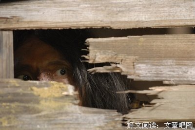 《鬼怪文豪怪谈4：后日》影评100字