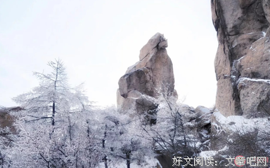 爱的心情。优美的句子