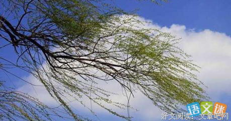 悲茗便风好词好句