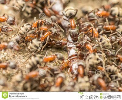 《富美子之足》经典影评1000字