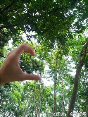 人生中三个最好的年纪